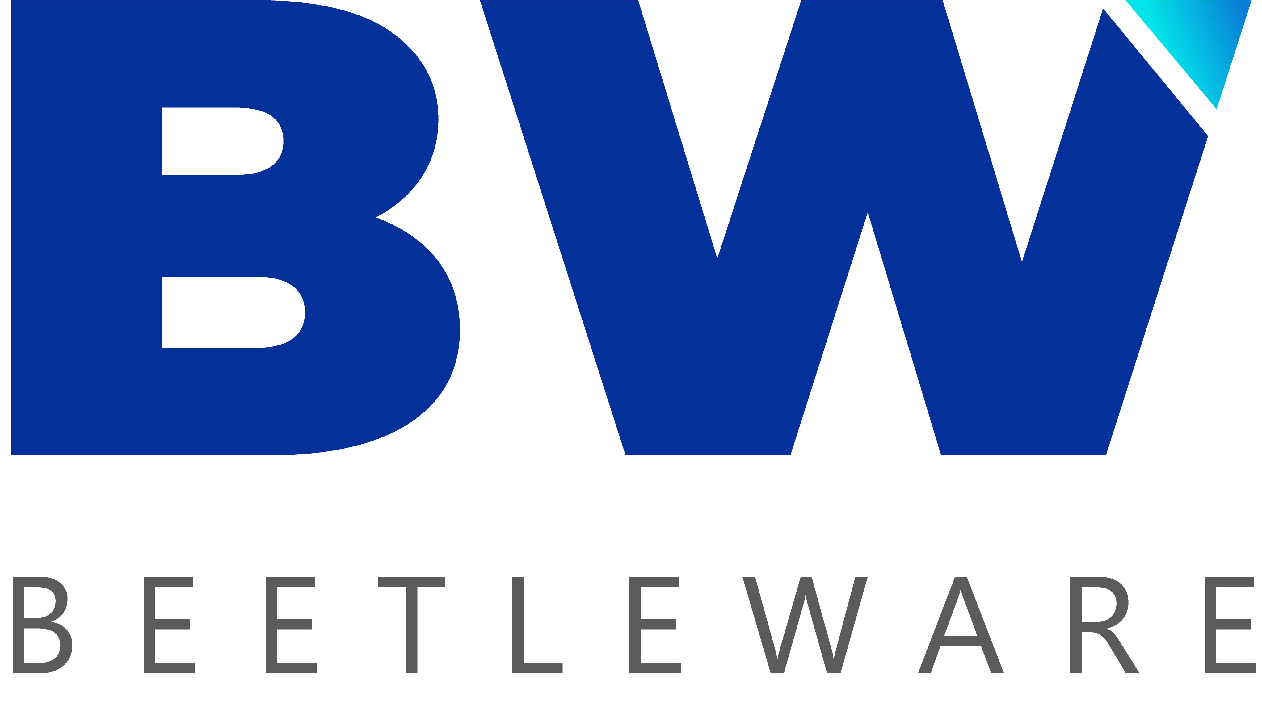 Beetleware Careers